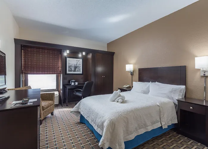 Hilton Tampa Airport WestshoreAirport Hotel